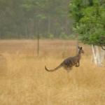 Kangaroo Valley